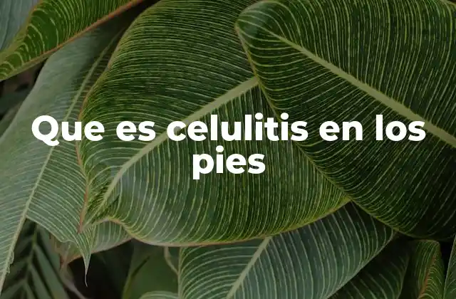 Causas y factores de riesgo de la infección en los pies