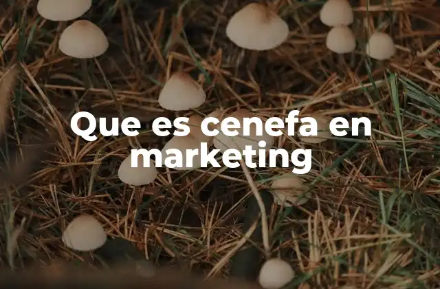 Que es Cenefa en Marketing 2 La importancia de la cenefa en una campaña publicitaria