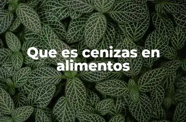 Que es Cenizas en Alimentos