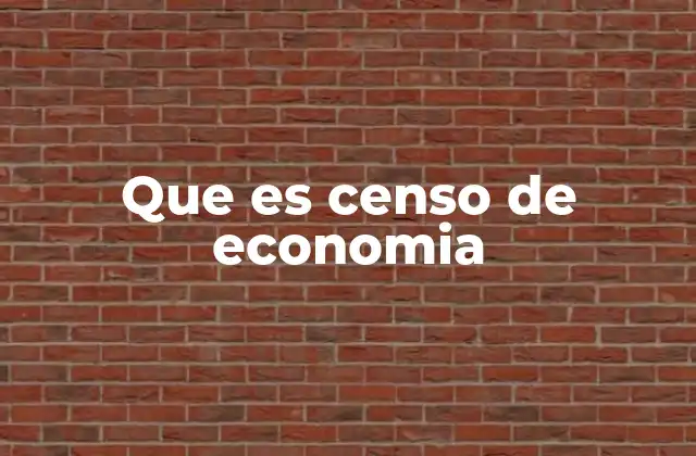 Que es Censo de Economia
