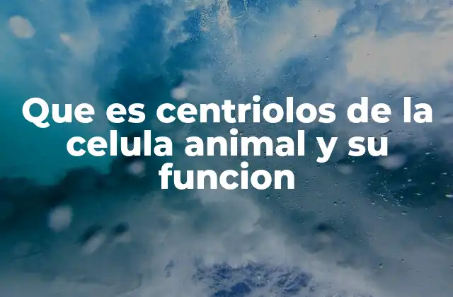 Que es Centriolos de la Celula Animal y Su Funcion