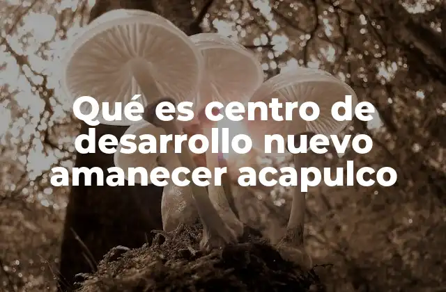 Qué es Centro de Desarrollo Nuevo Amanecer Acapulco