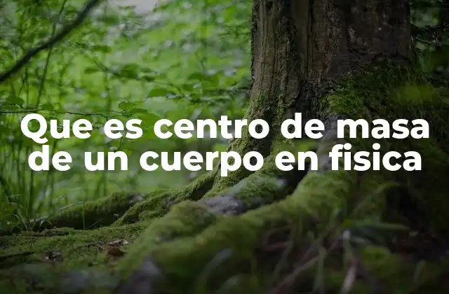 Que es Centro de Masa de un Cuerpo en Fisica