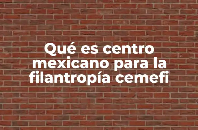 Qué es Centro Mexicano para la Filantropía Cemefi