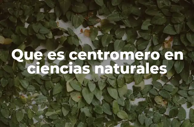 Que es Centromero en Ciencias Naturales