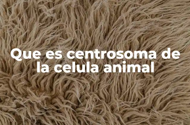 Que es Centrosoma de la Celula Animal