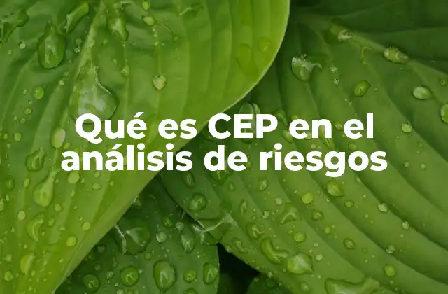 Qué es Cep en el Análisis de Riesgos