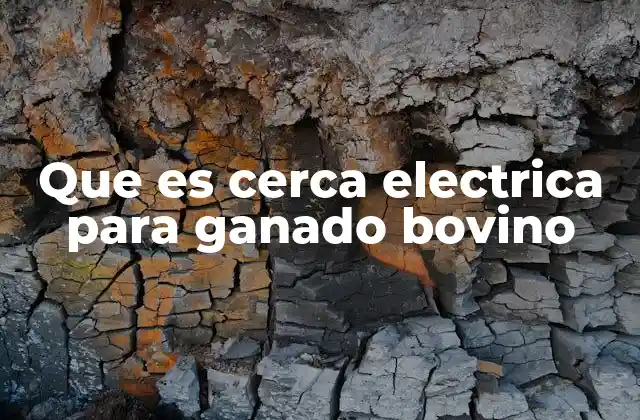 Que es Cerca Electrica para Ganado Bovino