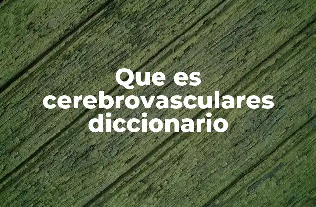 Que es Cerebrovasculares Diccionario