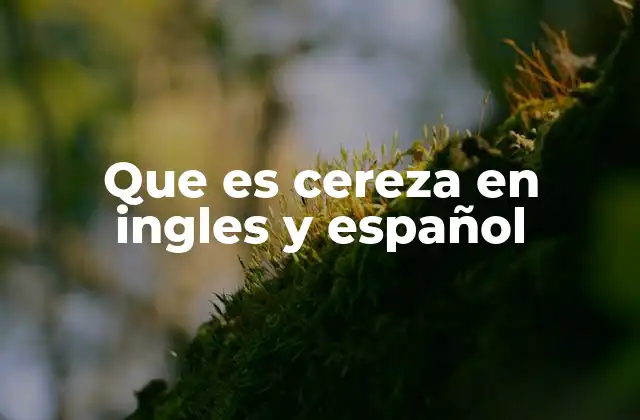 Que es Cereza en Ingles y Español