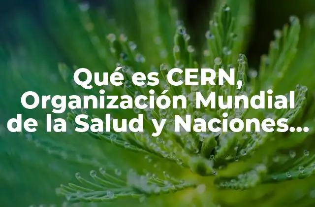 Qué es Cern, Organización Mundial de la Salud y Naciones Unidas