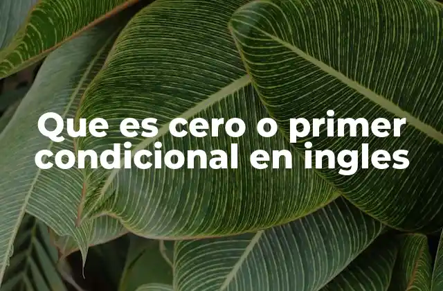 Que es Cero o Primer Condicional en Ingles