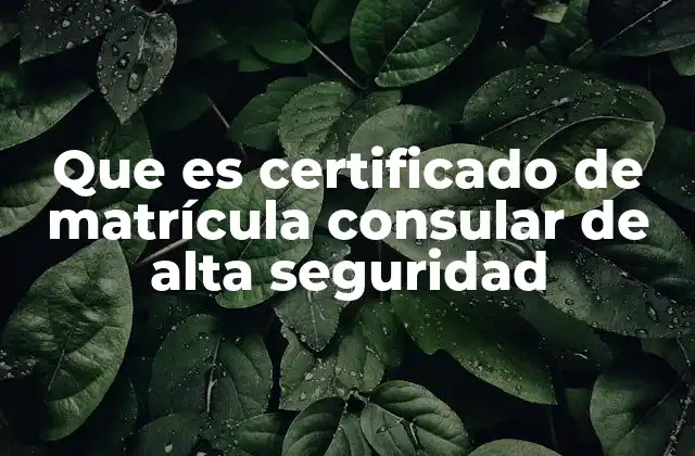 Que es Certificado de Matrícula Consular de Alta Seguridad