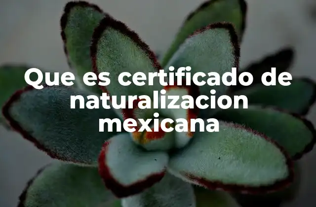 La importancia de la naturalización en el contexto legal mexicano