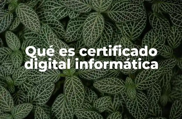 ¿Cómo funciona un certificado digital en la ciberseguridad?