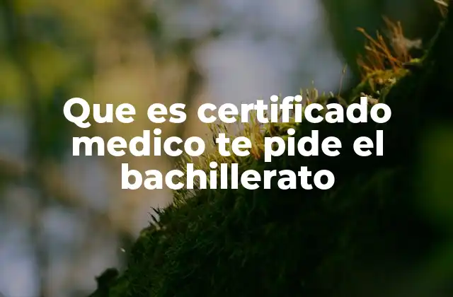 El papel del certificado médico en el sistema educativo
