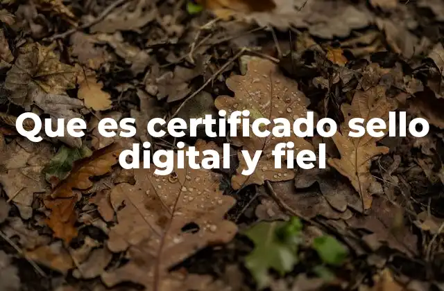 Que es Certificado Sello Digital y Fiel