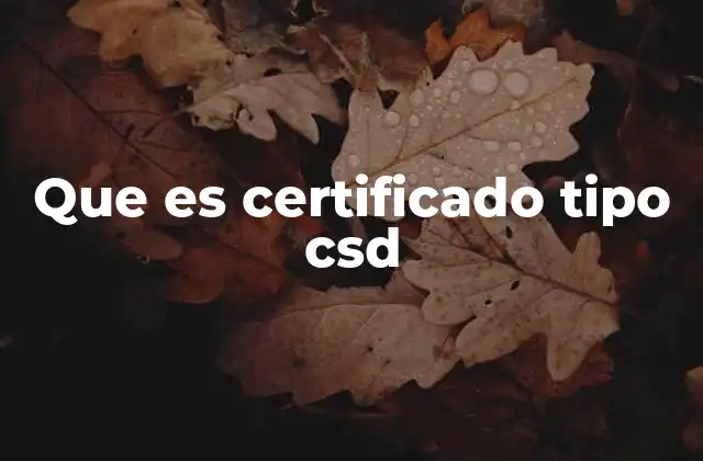 Que es Certificado Tipo Csd
