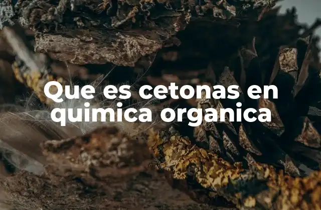 Que es Cetonas en Quimica Organica