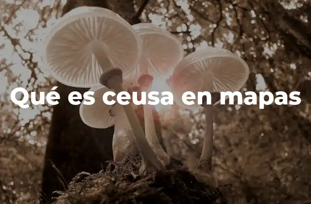 Qué es Ceusa en Mapas 2 La importancia de los sistemas de coordenadas en mapas digitales