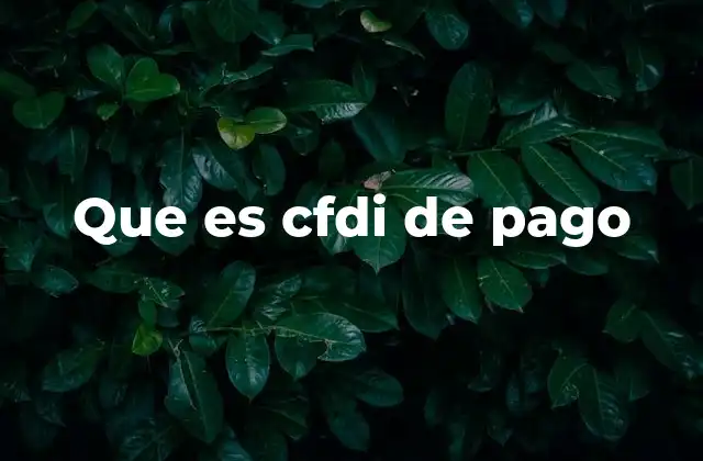 Que es Cfdi de Pago