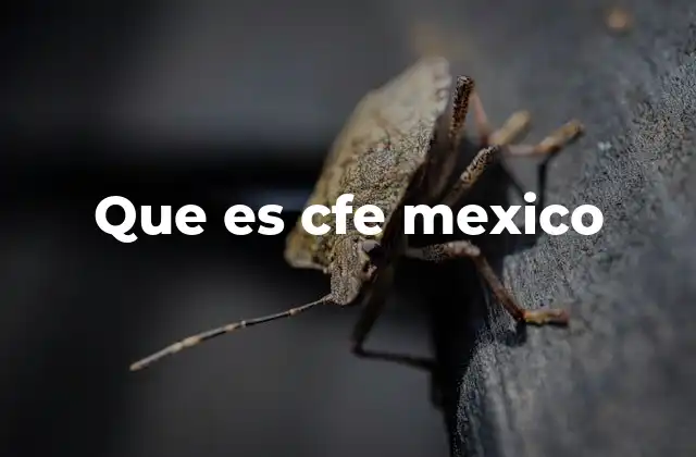 Que es Cfe Mexico