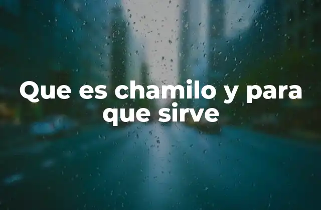 Que es Chamilo y para que Sirve