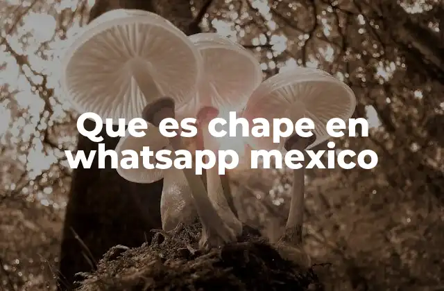 Que es Chape en Whatsapp Mexico