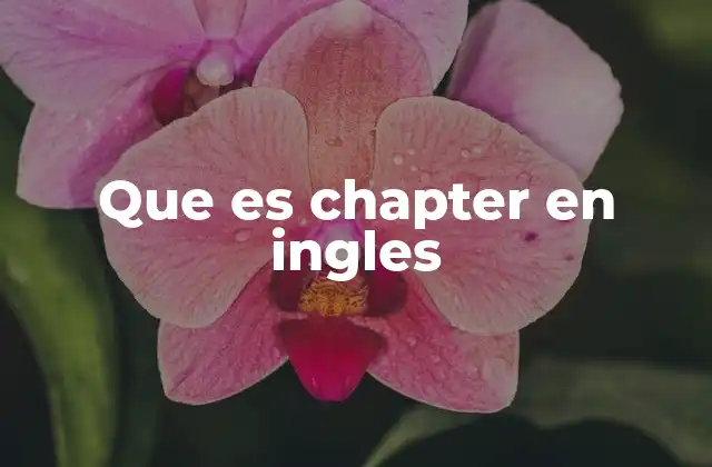 Que es Chapter en Ingles 2 La estructura y función de los capítulos en textos estructurados