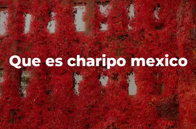 Que es Charipo Mexico