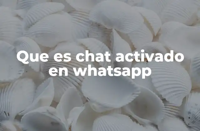 Que es Chat Activado en Whatsapp