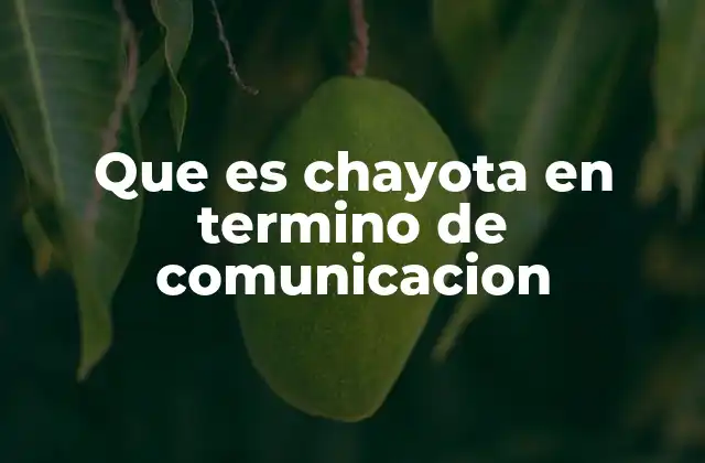 Que es Chayota en Termino de Comunicacion