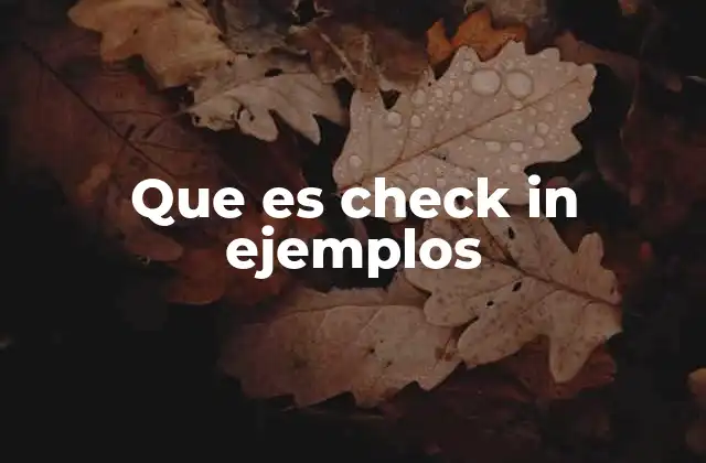 Que es Check In Ejemplos
