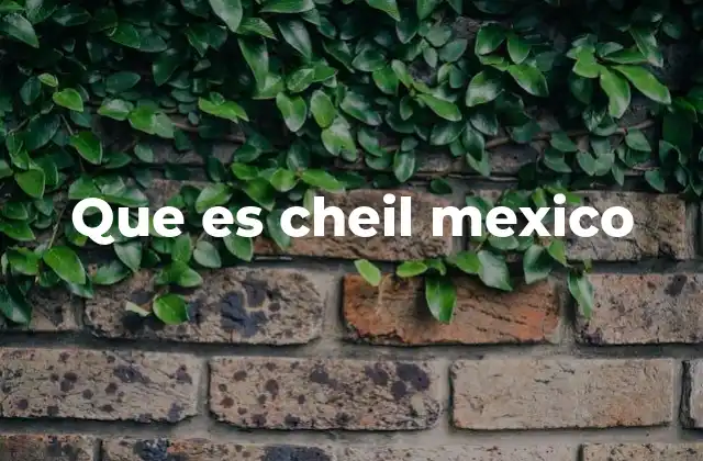 Que es Cheil Mexico
