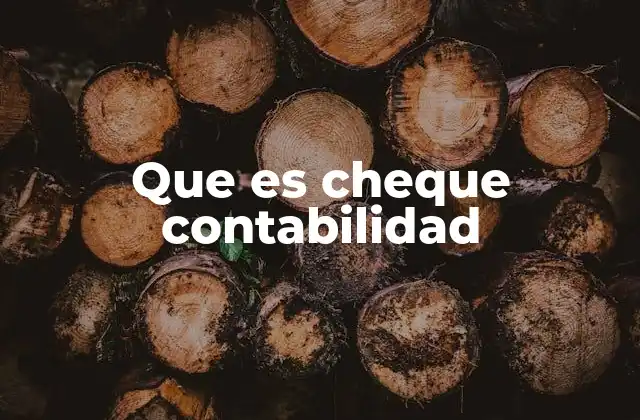 Que es Cheque Contabilidad