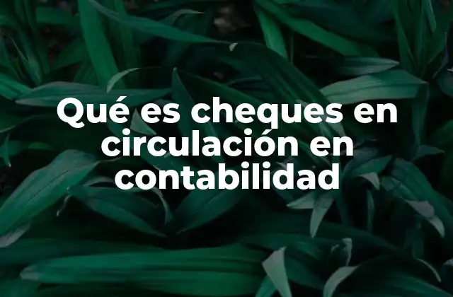 Qué es Cheques en Circulación en Contabilidad