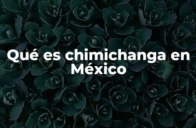 Qué es Chimichanga en México