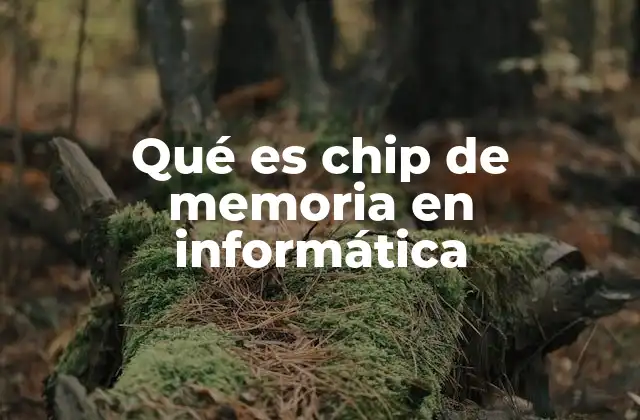 Qué es Chip de Memoria en Informática