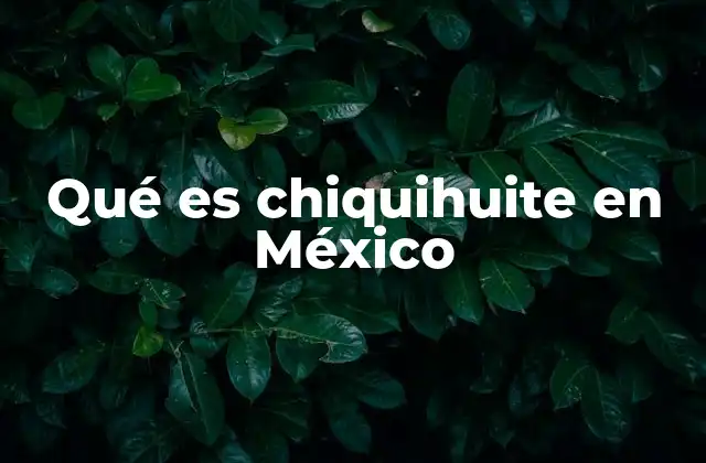 El origen y evolución del chiquihuite en la cultura mexicana