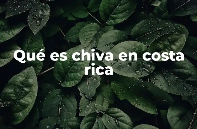 Qué es Chiva en Costa Rica