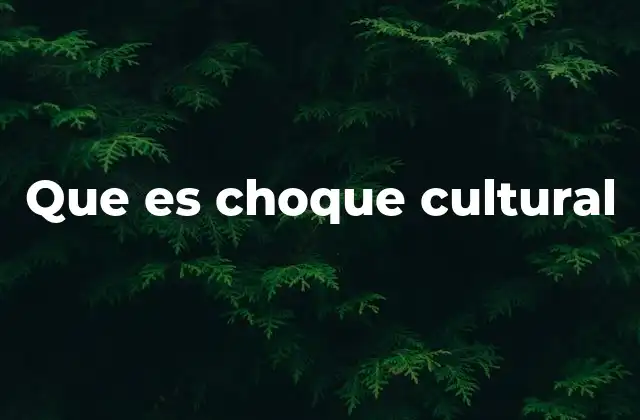 Que es Choque Cultural