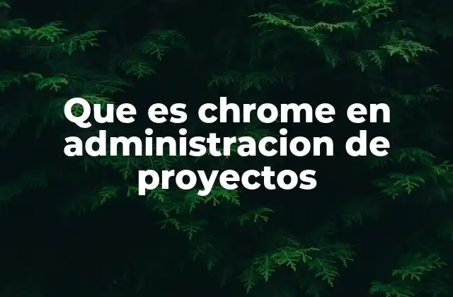 Que es Chrome en Administracion de Proyectos