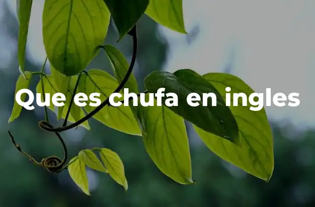 Que es Chufa en Ingles