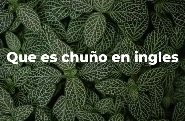 Que es Chuño en Ingles