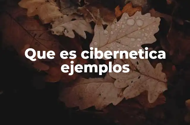Que es Cibernetica Ejemplos