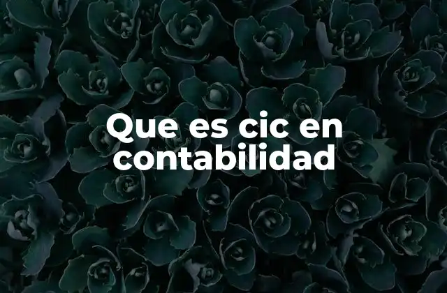 Que es Cic en Contabilidad