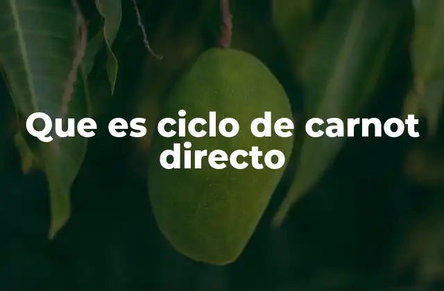 Que es Ciclo de Carnot Directo