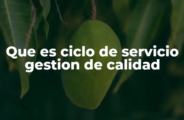 Que es Ciclo de Servicio Gestion de Calidad