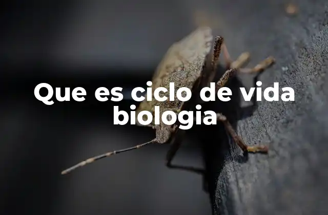 Que es Ciclo de Vida Biologia 2 El desarrollo biológico y sus etapas