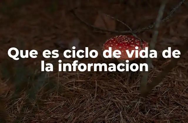 Que es Ciclo de Vida de la Informacion